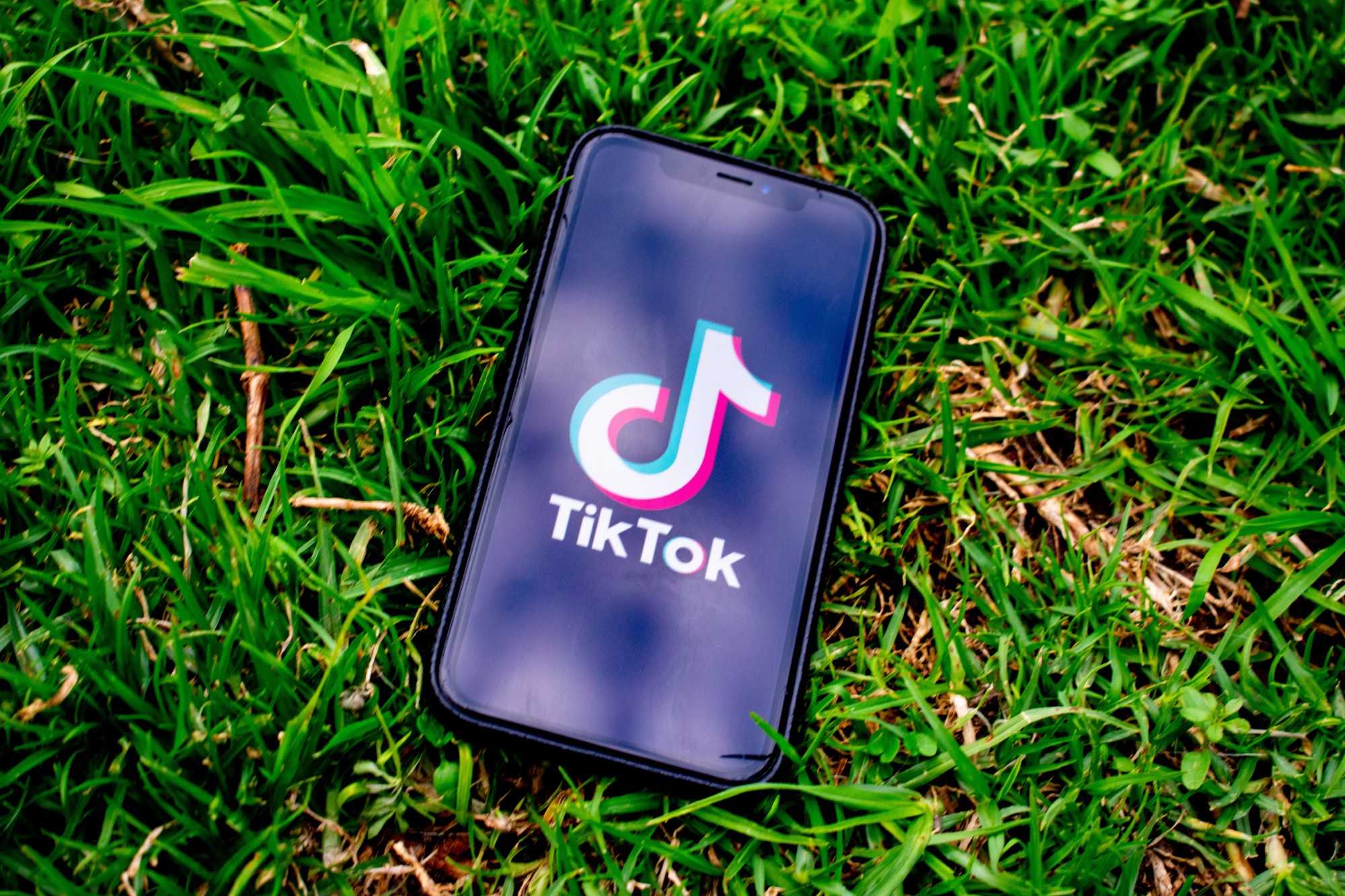 4 TikTok Strategies To Help You Grow Your Following | Donklephant